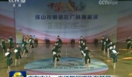 今日佛山爆料新闻直播,聚焦城市热点事件追踪